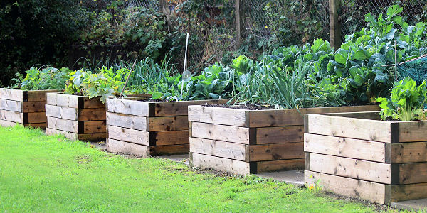 Bespoke raised beds & compost containers, Milford Haven
