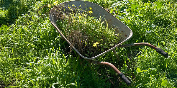 Garden clearance and landscaping Pembrokeshire
