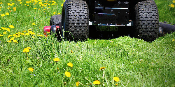 Pembrokeshire lawn mowing